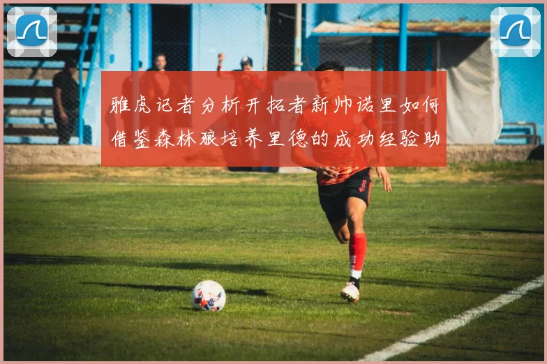 雅虎记者分析开拓者新帅诺里如何借鉴森林狼培养里德的成功经验助力杨瀚森